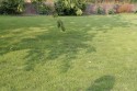 0_1740552_23897.jpg